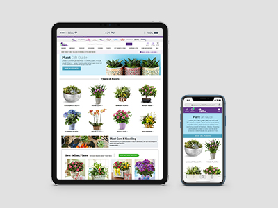 Flowers & Gifting Company
